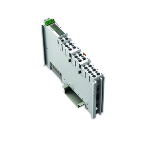 Wago 750-562 2 Kanallı Analog Çıkış